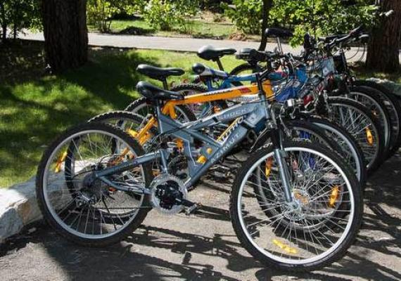 Велопрокат: бизнес-план по открытию Какой заработок приносит бизнес на прокате велосипедов